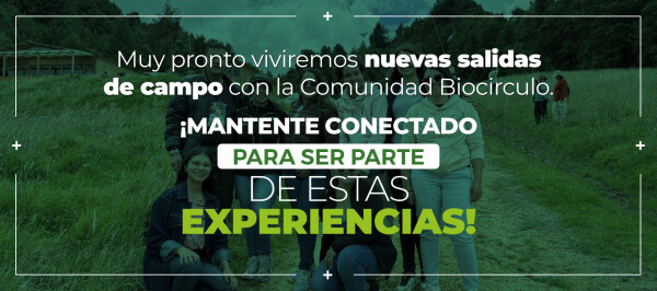 imagen1064